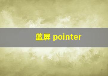 蓝屏 pointer